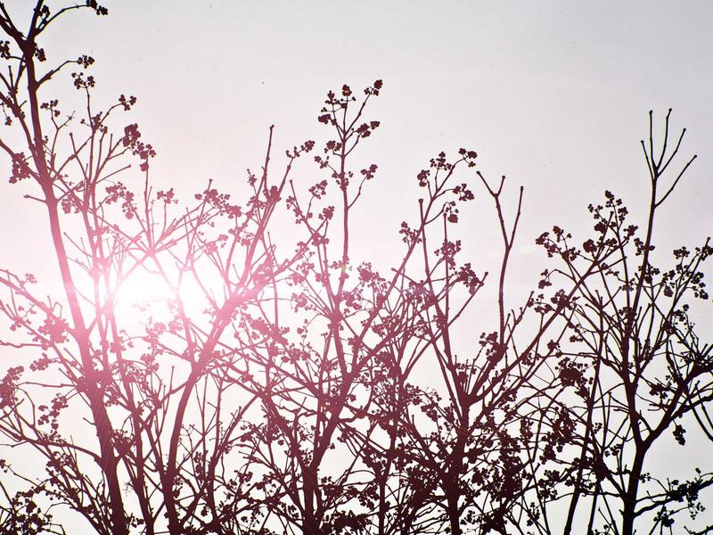 sudoku technique mastery screenshot 1